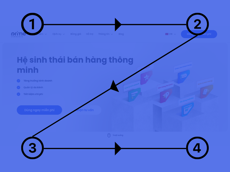 Hành vi đọc lướt là phản xạ tự nhiên khi người dùng truy cập một website mới